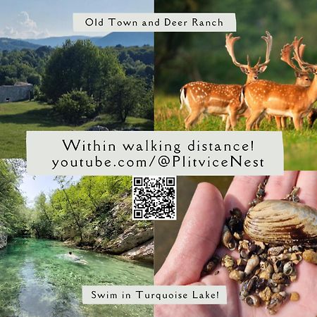 Апартаменты Plitvice Nest 2 Раковица Экстерьер фото