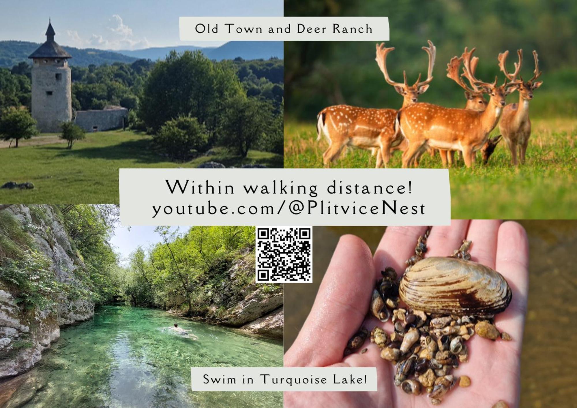 Апартаменты Plitvice Nest 2 Раковица Экстерьер фото